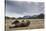 Brown Bear, Katmai National Park, Alaska-null-Stretched Canvas