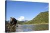 Brown Bear, Katmai National Park, Alaska-Paul Souders-Stretched Canvas