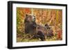 Brown Bear, Katmai National Park, Alaska-null-Framed Premium Photographic Print