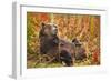 Brown Bear, Katmai National Park, Alaska-null-Framed Premium Photographic Print