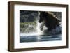 Brown Bear, Katmai National Park, Alaska-Paul Souders-Framed Photographic Print