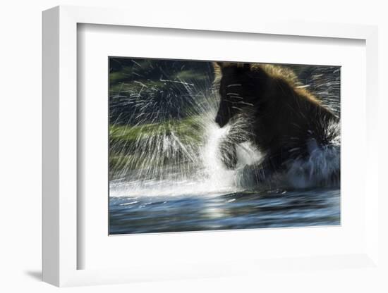 Brown Bear, Katmai National Park, Alaska-Paul Souders-Framed Photographic Print