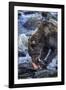 Brown Bear, Katmai National Park, Alaska-Paul Souders-Framed Photographic Print