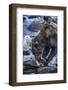 Brown Bear, Katmai National Park, Alaska-Paul Souders-Framed Photographic Print