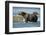 Brown Bear, Katmai National Park, Alaska-Paul Souders-Framed Photographic Print