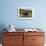 Brown Bear, Katmai National Park, Alaska-Paul Souders-Framed Photographic Print displayed on a wall