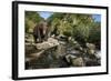 Brown Bear, Katmai National Park, Alaska-Paul Souders-Framed Photographic Print