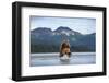 Brown Bear, Katmai National Park, Alaska-Paul Souders-Framed Photographic Print