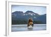 Brown Bear, Katmai National Park, Alaska-Paul Souders-Framed Photographic Print