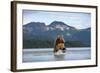 Brown Bear, Katmai National Park, Alaska-Paul Souders-Framed Photographic Print