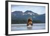 Brown Bear, Katmai National Park, Alaska-Paul Souders-Framed Photographic Print