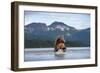 Brown Bear, Katmai National Park, Alaska-Paul Souders-Framed Photographic Print