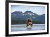 Brown Bear, Katmai National Park, Alaska-Paul Souders-Framed Photographic Print