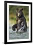 Brown Bear, Katmai National Park, Alaska-Paul Souders-Framed Photographic Print