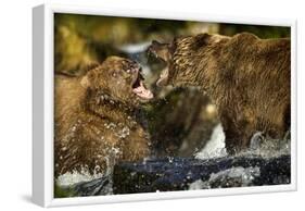 Brown Bear, Katmai National Park, Alaska-Paul Souders-Framed Photographic Print