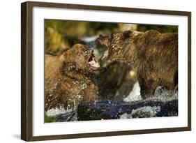 Brown Bear, Katmai National Park, Alaska-Paul Souders-Framed Photographic Print