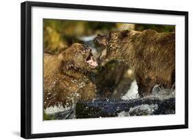 Brown Bear, Katmai National Park, Alaska-Paul Souders-Framed Photographic Print