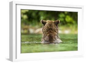 Brown Bear, Katmai National Park, Alaska-Paul Souders-Framed Photographic Print