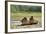 Brown Bear, Katmai National Park, Alaska-Paul Souders-Framed Photographic Print