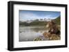 Brown Bear, Katmai National Park, Alaska-Paul Souders-Framed Photographic Print