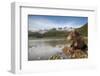 Brown Bear, Katmai National Park, Alaska-Paul Souders-Framed Photographic Print