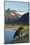 Brown Bear, Katmai National Park, Alaska-null-Mounted Photographic Print