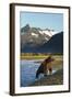 Brown Bear, Katmai National Park, Alaska-null-Framed Photographic Print