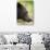 Brown Bear, Katmai National Park, Alaska-null-Photographic Print displayed on a wall