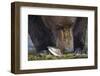 Brown Bear, Katmai National Park, Alaska-Paul Souders-Framed Photographic Print