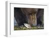 Brown Bear, Katmai National Park, Alaska-Paul Souders-Framed Photographic Print