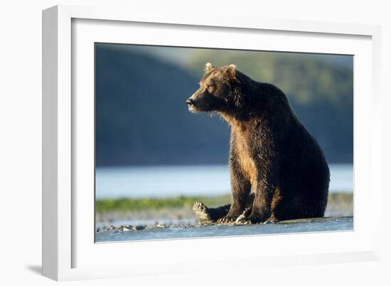 Brown Bear, Katmai National Park, Alaska-Paul Souders-Framed Photographic Print