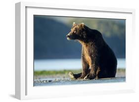 Brown Bear, Katmai National Park, Alaska-Paul Souders-Framed Photographic Print