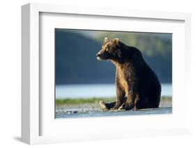 Brown Bear, Katmai National Park, Alaska-Paul Souders-Framed Photographic Print