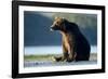 Brown Bear, Katmai National Park, Alaska-Paul Souders-Framed Photographic Print