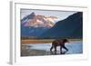 Brown Bear, Katmai National Park, Alaska-Paul Souders-Framed Photographic Print