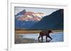 Brown Bear, Katmai National Park, Alaska-Paul Souders-Framed Photographic Print