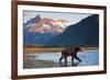 Brown Bear, Katmai National Park, Alaska-Paul Souders-Framed Photographic Print