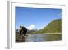 Brown Bear, Katmai National Park, Alaska-Paul Souders-Framed Photographic Print