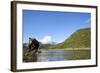 Brown Bear, Katmai National Park, Alaska-Paul Souders-Framed Photographic Print