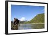 Brown Bear, Katmai National Park, Alaska-Paul Souders-Framed Photographic Print