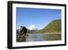 Brown Bear, Katmai National Park, Alaska-Paul Souders-Framed Photographic Print