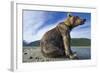 Brown Bear, Katmai National Park, Alaska-Paul Souders-Framed Photographic Print