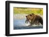 Brown Bear, Katmai National Park, Alaska-Paul Souders-Framed Photographic Print