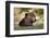 Brown Bear, Katmai National Park, Alaska-null-Framed Photographic Print