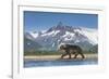 Brown Bear, Katmai National Park, Alaska-null-Framed Photographic Print