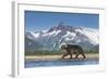 Brown Bear, Katmai National Park, Alaska-null-Framed Photographic Print