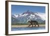 Brown Bear, Katmai National Park, Alaska-null-Framed Photographic Print