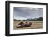 Brown Bear, Katmai National Park, Alaska-null-Framed Photographic Print