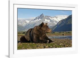 Brown Bear, Katmai National Park, Alaska-Paul Souders-Framed Photographic Print