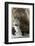 Brown Bear, Katmai National Park, Alaska-null-Framed Photographic Print